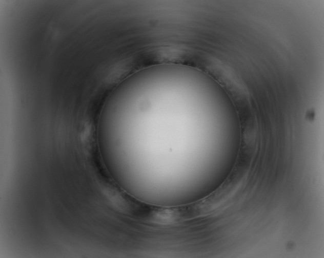 X0000103130079200808291325