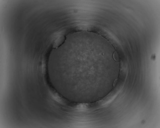 X0000103130080200808291325