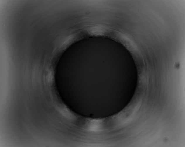 X0000103130081200808291325