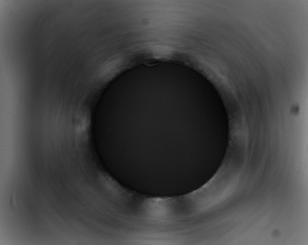 X0000103130082200808291325