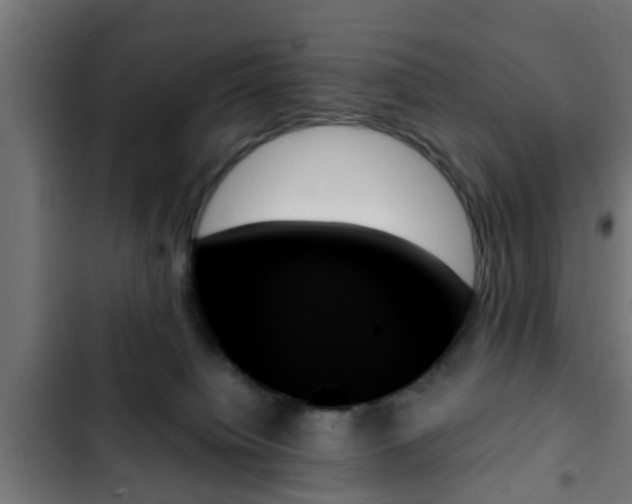 X0000103130084200808291325