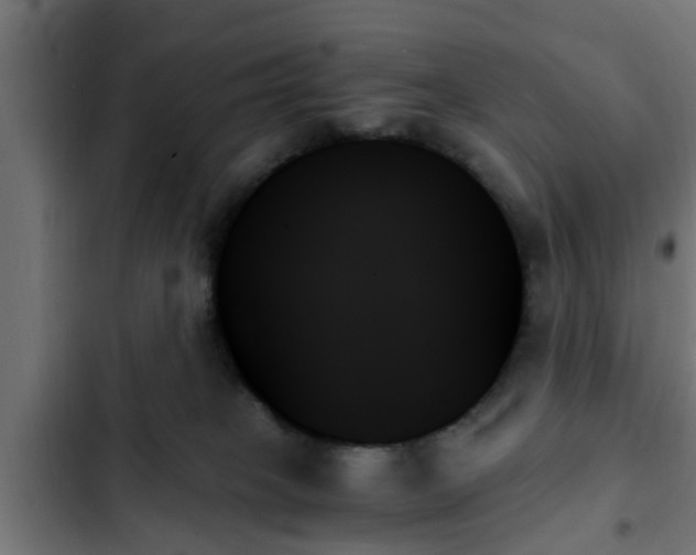 X0000103130085200808291325