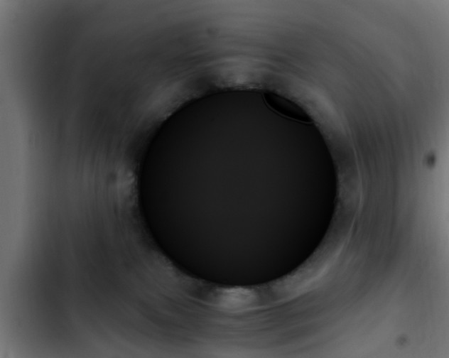 X0000103130087200808291325