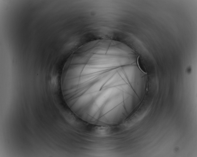 X0000103130088200808291325