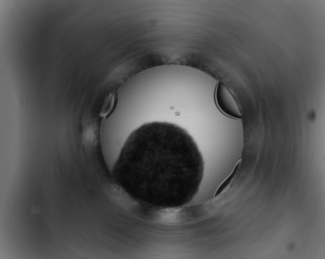 X0000103130090200808291325