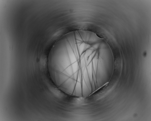 X0000103130092200808291325