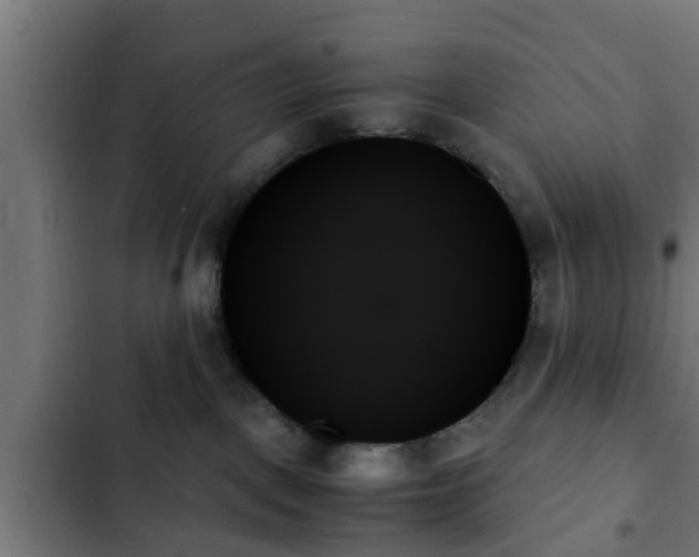 X0000103130093200808291325