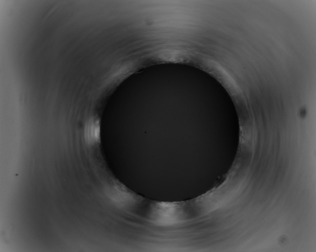 X0000103130095200808291325