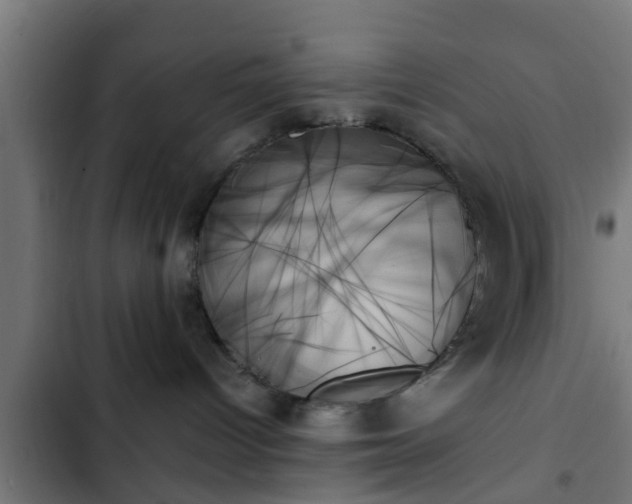 X0000103130096200808291325