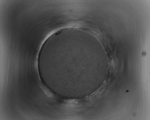 X0000103130100200808291325