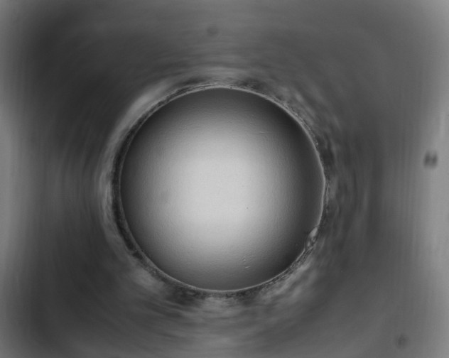 X0000103130101200808291325