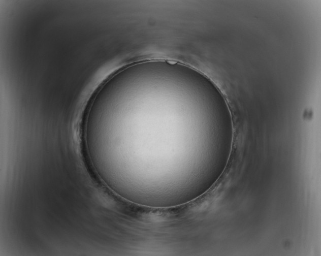 X0000103130103200808291324