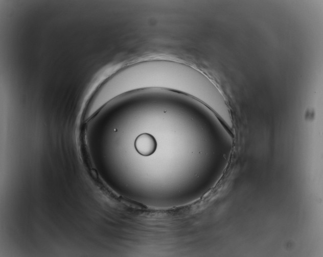 X0000103130104200808291324