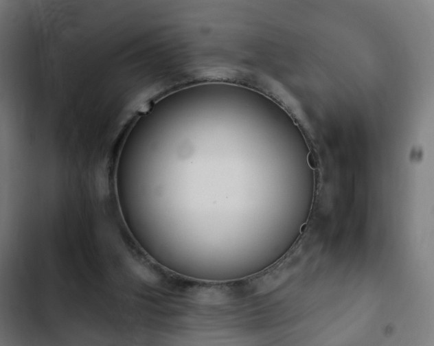 X0000103130106200808291324