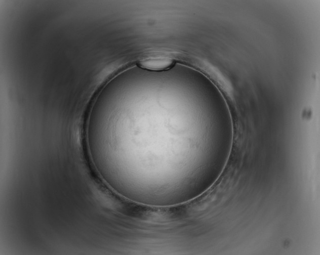 X0000103130107200808291324
