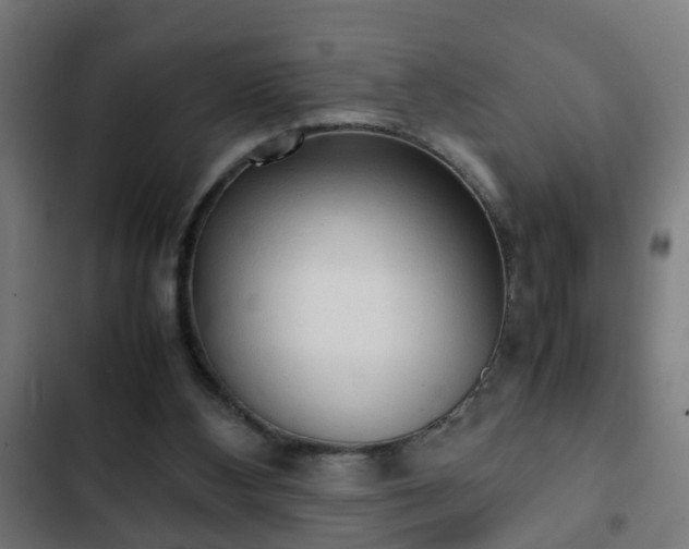 X0000103130108200808291324
