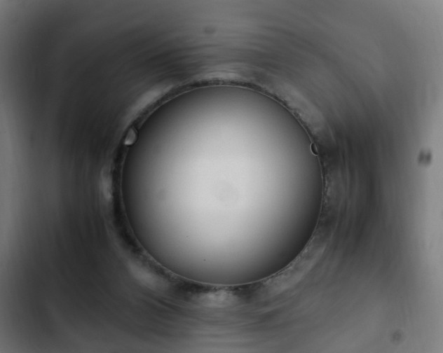 X0000103130112200808291324