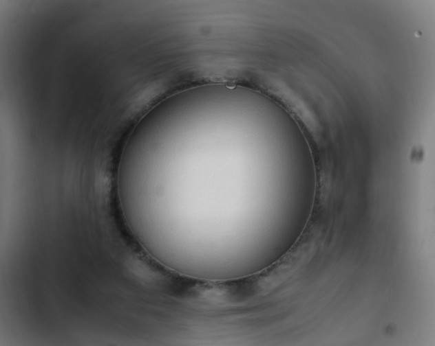 X0000103130113200808291324