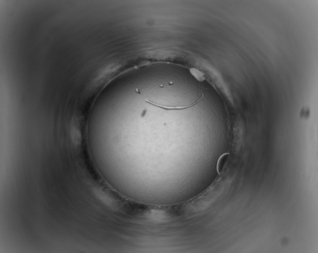 X0000103130114200808291324