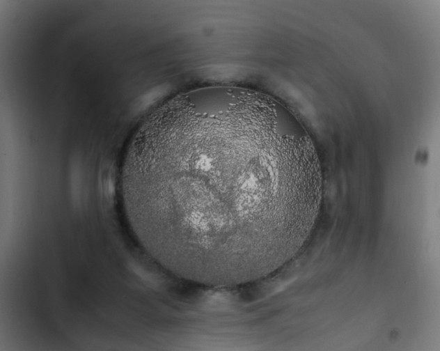 X0000103130115200808291324