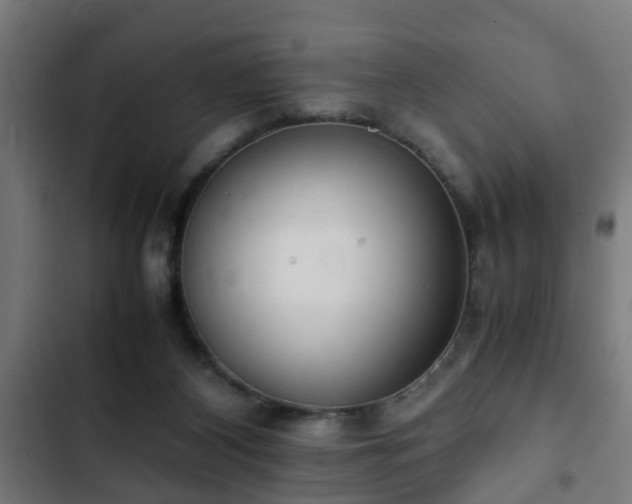 X0000103130116200808291324