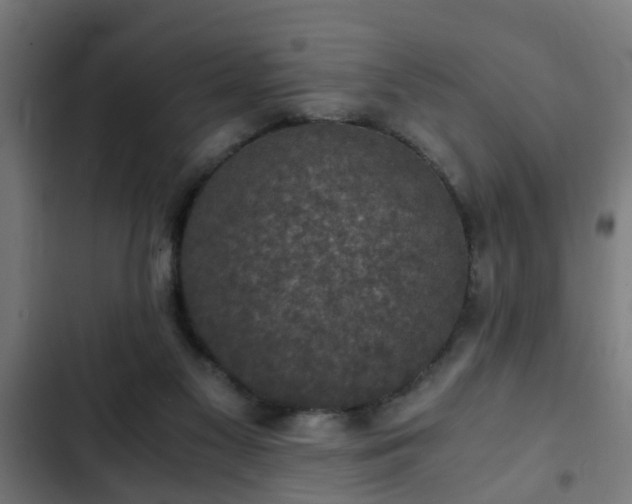 X0000103130117200808291324