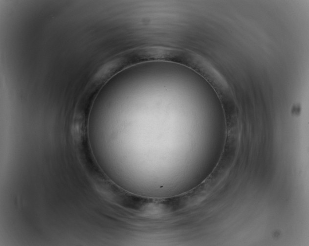 X0000103130119200808291324