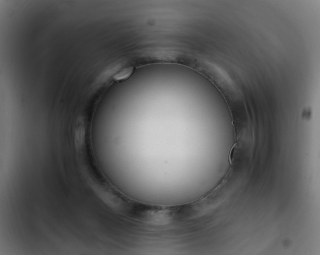 X0000103130120200808291324