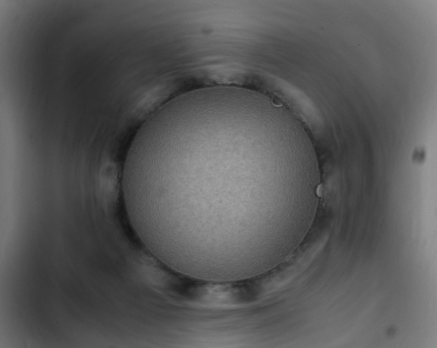 X0000103130121200808291324