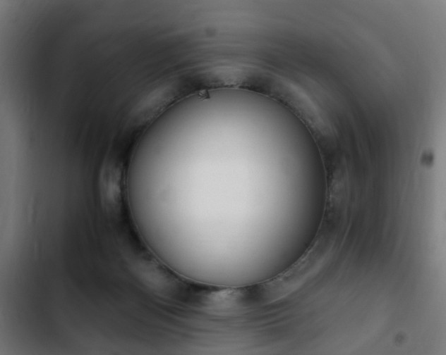 X0000103130122200808291324