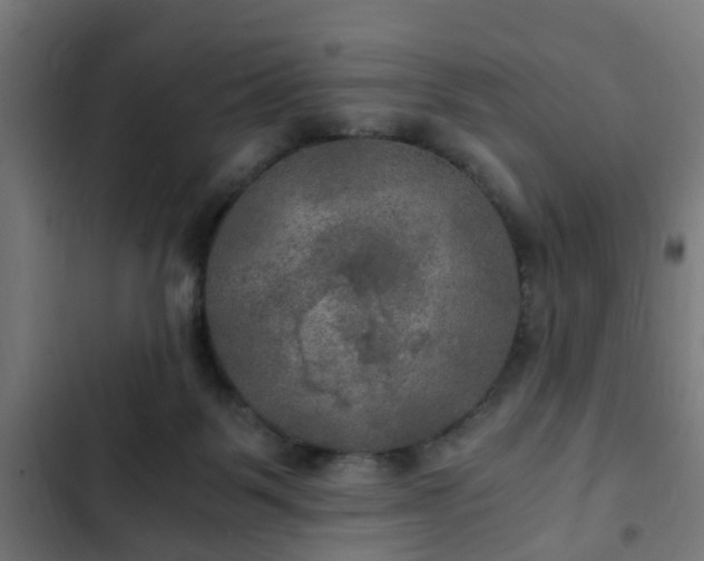 X0000103130123200808291324