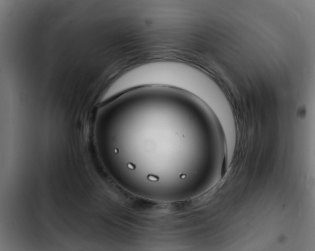 X0000103130124200808291324