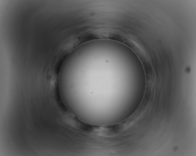 X0000103130125200808291324