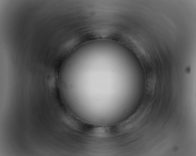 X0000103130126200808291324