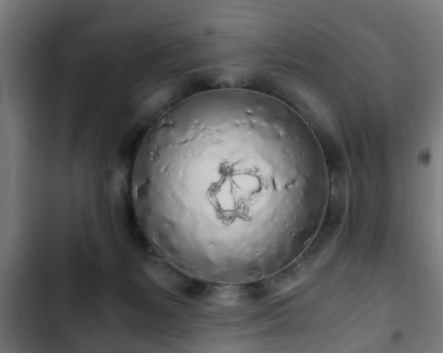 X0000103130127200808291324