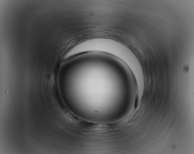 X0000103130128200808291324
