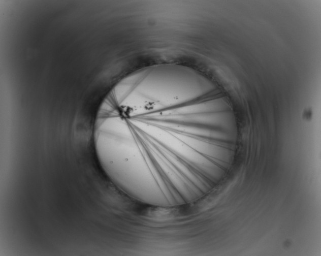 X0000103130129200808291324