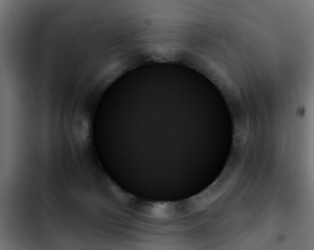 X0000103130130200808291324