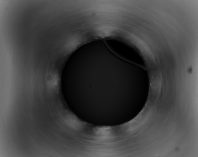 X0000103130132200808291324