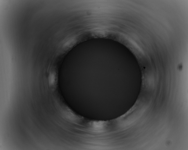 X0000103130134200808291324