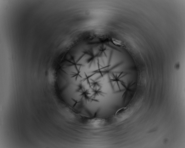X0000103130135200808291324