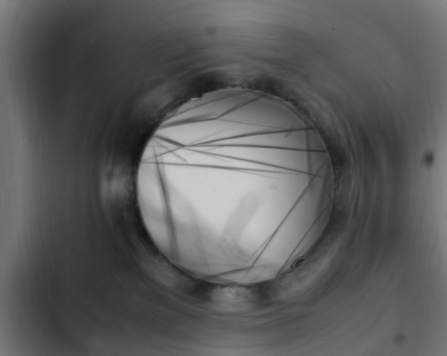 X0000103130137200808291324