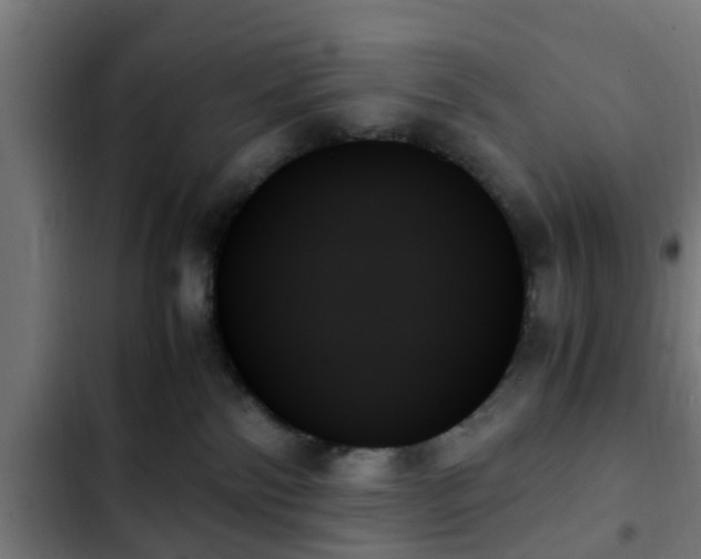 X0000103130138200808291324