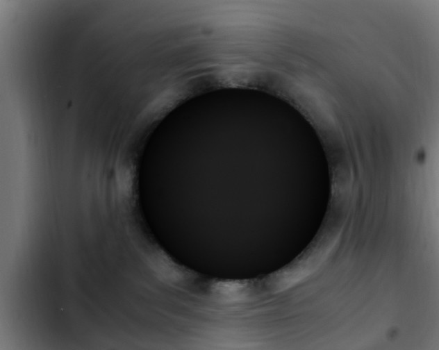 X0000103130139200808291324
