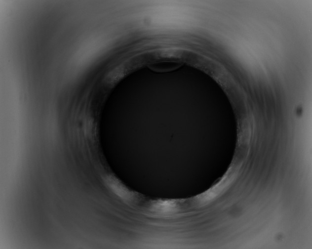 X0000103130140200808291324