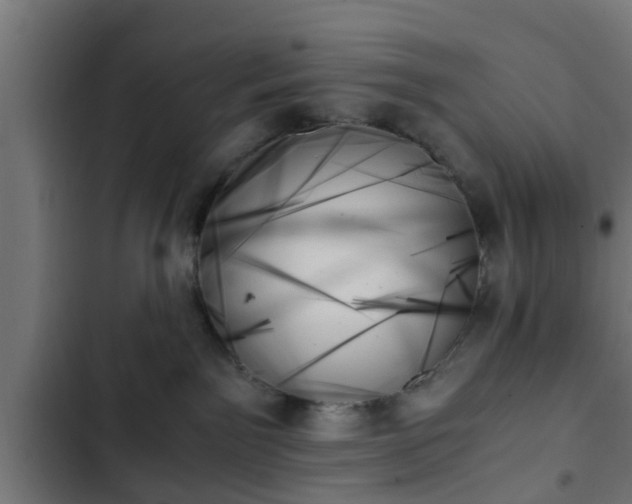 X0000103130141200808291324