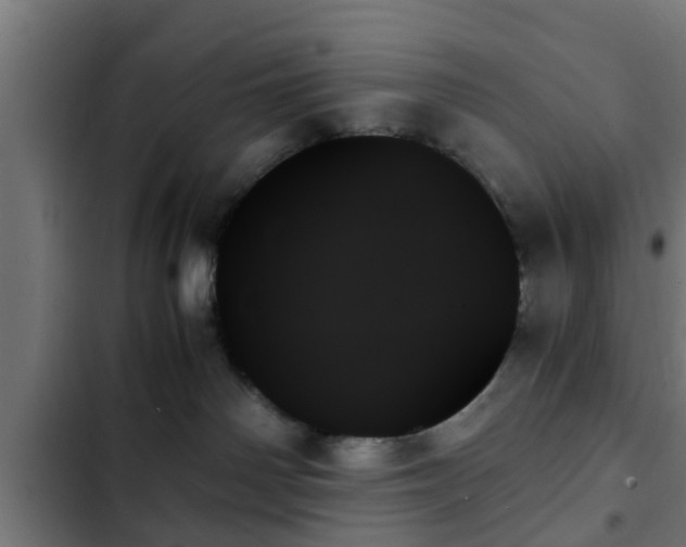 X0000103130142200808291324