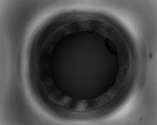 X0000103130143200808291324
