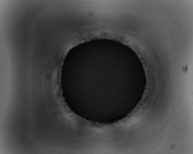 X0000103130144200808291324
