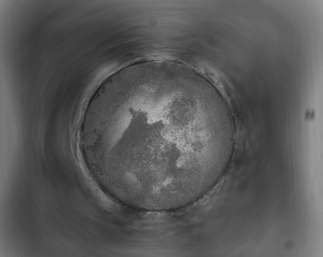 X0000103130145200808291323